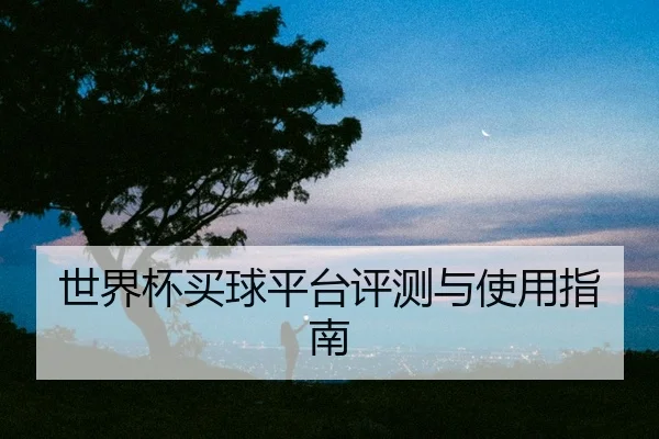 世界杯买球平台评测与使用指南