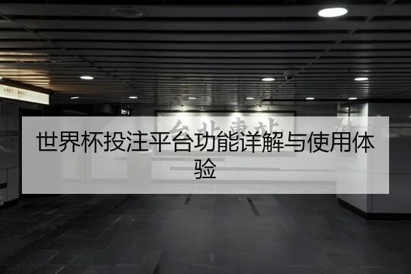 世界杯投注平台功能详解与使用体验