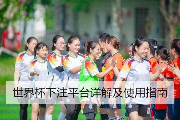 世界杯下注平台详解及使用指南