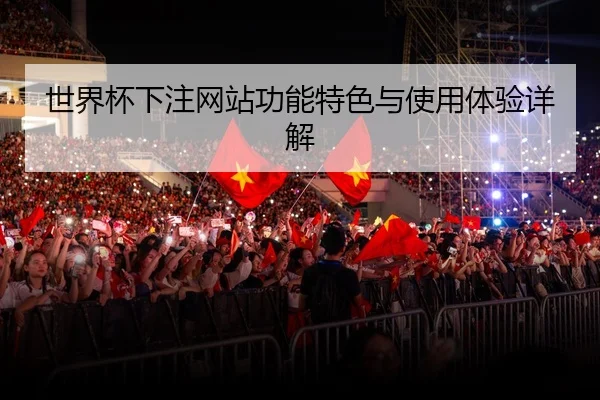 世界杯下注网站功能特色与使用体验详解