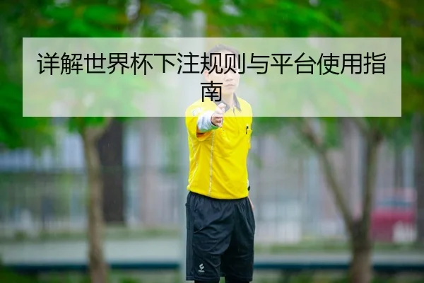 详解世界杯下注规则与平台使用指南